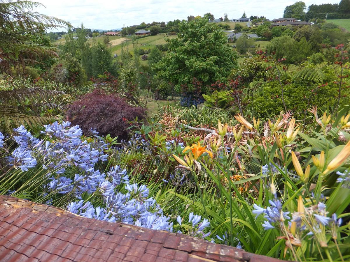 Waitomo Golfstays B&B โอโตโรฮังกา ภายนอก รูปภาพ